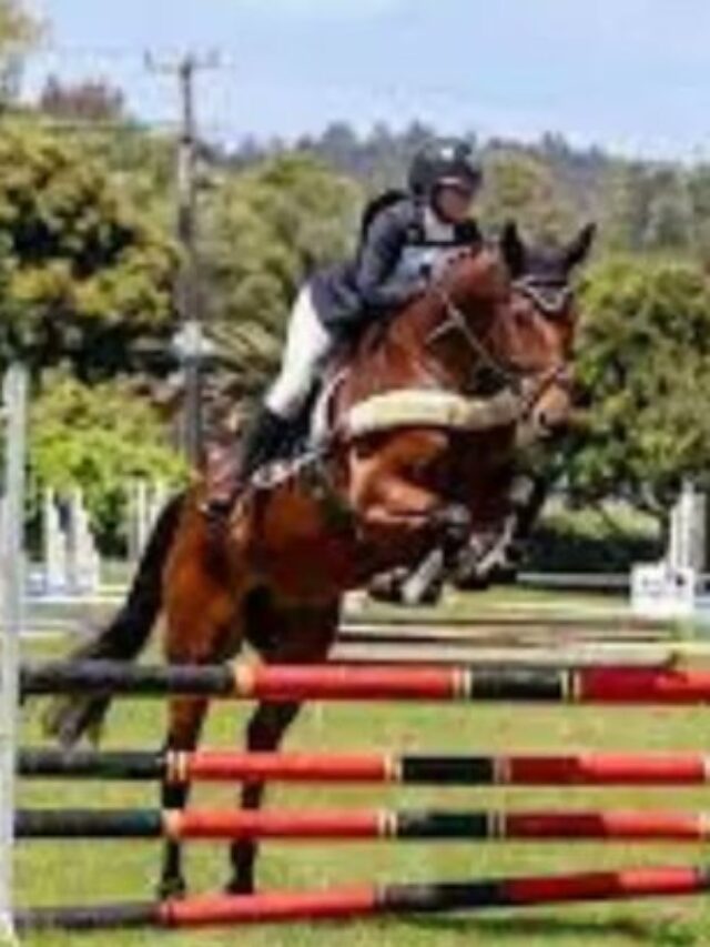 Show jumper Ali Hatim Lakdawala Clinches 2024 Junior National Equestrian Championship